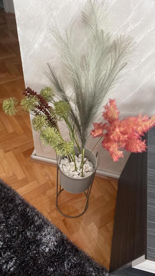 Apartman Bonaca Ni Exteriér fotografie
